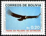 http://www.birdtheme.org/showimages/bolivia/i/bol198701l.jpg