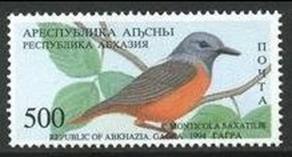 unlisted 500 r bird 1994