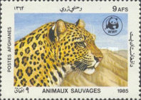 [WWF - Leopard, Scrivi ADI]