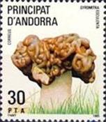 Guinea_image422