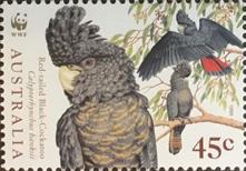 sos australia 1677  1998