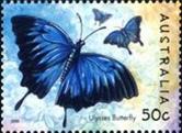 c a r  ss 1v in margin australia 2187  2003