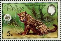sos belize 689  1983 (1)