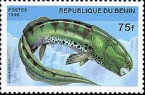 3465d-sos benin 886  1996