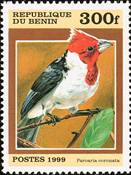 3482 margin-sos benin 1124  999