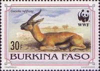 [The Red-fronted Gazelle, Scrivi LD]