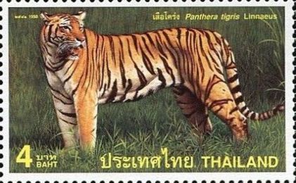 sos thailand 1803 1998