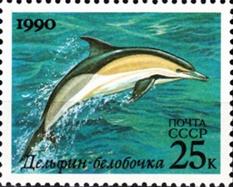 sos russia-ussr 59361990