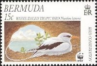 [Endangered Species - Bird Conservation, type YQ]