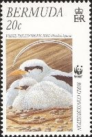 [Endangered Species - Bird Conservation, type YS]
