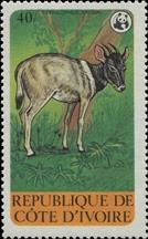 sos ivory coast 528 1979