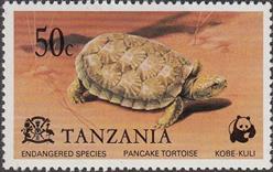 sos tanzania 82  1977