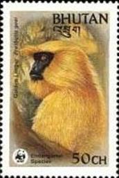 sos bhutan 413  1984