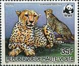 [Worlwide Nature Protection, Rotary International, and Scouting, Scrivi AFG]