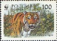 [Ussurian Tiger, Scrivi GU]