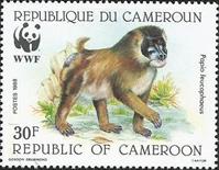 sos cameroon 843  1988