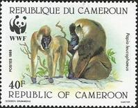 sos cameroon 844  1988