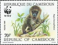 sos cameroon 845   1988