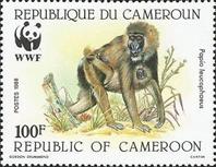 sos cameroon 846  1988