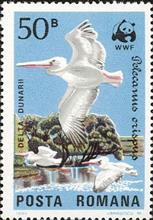 sos romania 3232  1984
