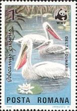 sos romania 3234  1984