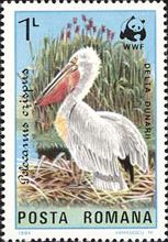 sos romania 3233  1984
