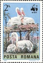 sos romania 3235  1984