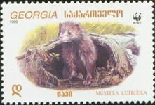 sos geogia 209  1999