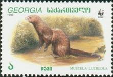sos geogia 206  1999