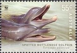 sos australia 3077   2009