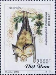 sos vietnam 3012   2000