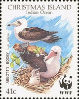 [Birds- Abbott's Booby, type KD]
