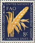 [Food and Agriculture Organization, type O1]