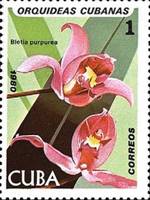 ss4v a-- sos cuba 2328 1980