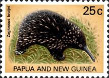 sos papua new guinea 326  1971