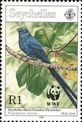 sos margin seychelles 778  