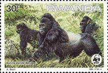 sos rwanda 1211  1985