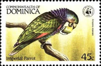 [Birds, type AAB]