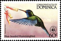 [Birds, type AAC]