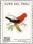 ecuador v--sos peru c338  1972