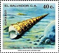 sos salvador 925 1980