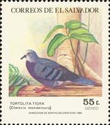 sos salvador 1026 1984