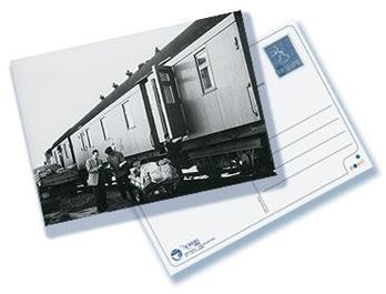 2006 card5