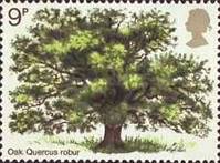 [Tree Planting Year, type MZ]