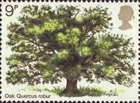 [Tree Planting Year, type MZ]