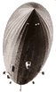 http://spot.colorado.edu/~dziadeck/zf/images/banner/graf.gif