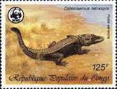 [Airmail - Crocodiles, Scrivi ANY]