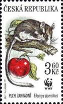 [World Wildlife Fund - Small Mammals, Scrivi DF]