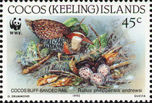 [Birds - Endangered Species - Buff-banded Rail, type JJ]