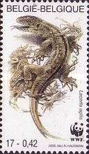[World Wildlife Foundation, type CHP]